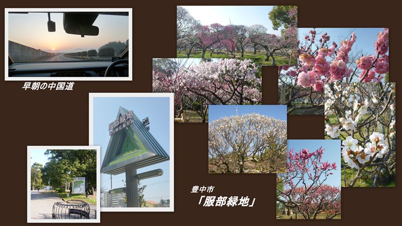 ファイル 1129-1.jpg