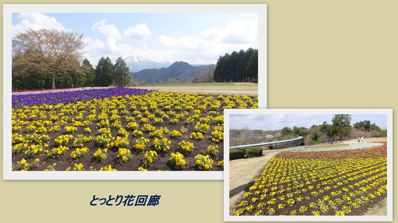 ファイル 1130-4.jpg