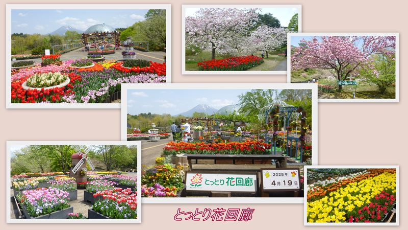 ファイル 1134-3.jpg