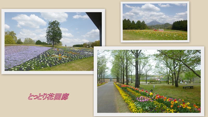 ファイル 1134-4.jpg