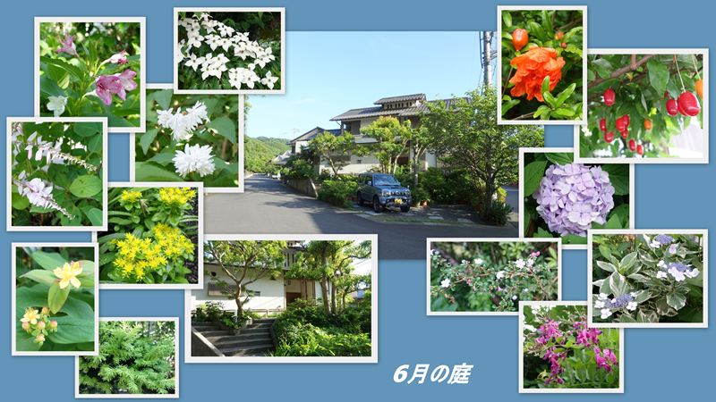 ファイル 1136-2.jpg