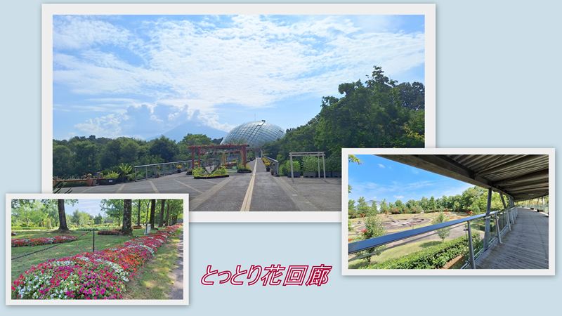 ファイル 1138-1.jpg