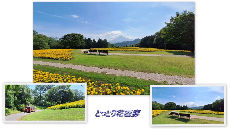 ファイル 1138-2.jpg
