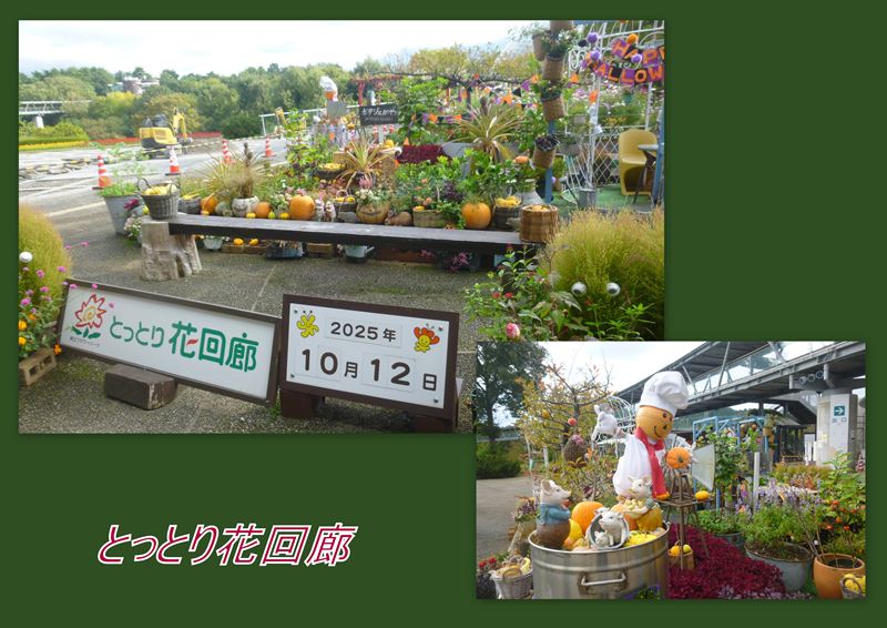 ファイル 1140-1.jpg