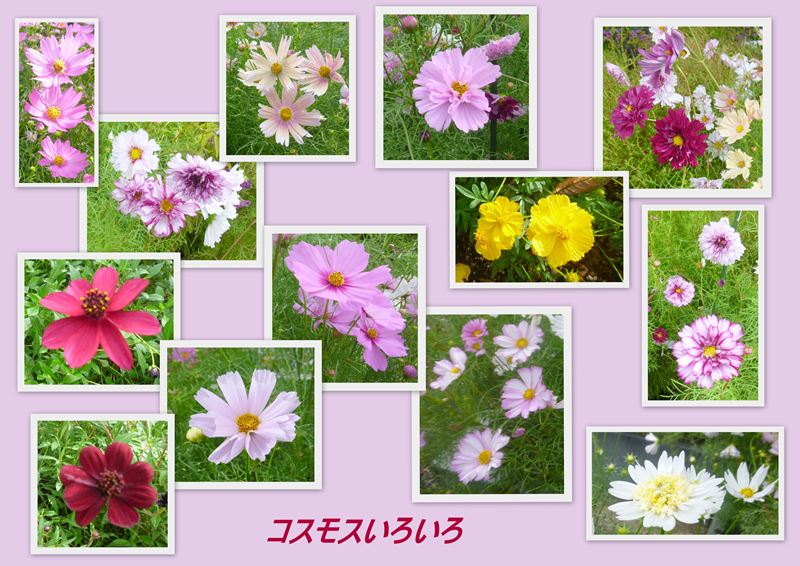 ファイル 1140-3.jpg