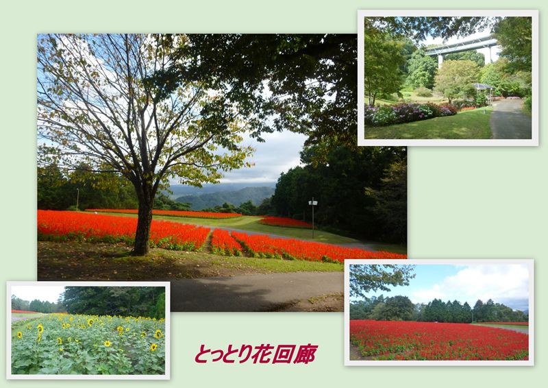 ファイル 1140-4.jpg