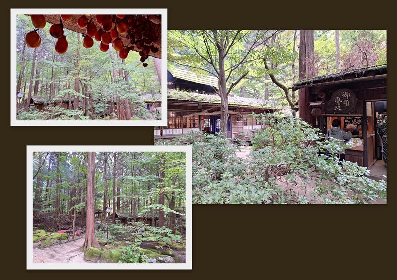 ファイル 1143-2.jpg