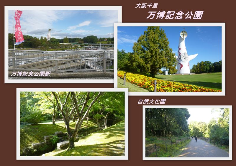 ファイル 1145-1.jpg