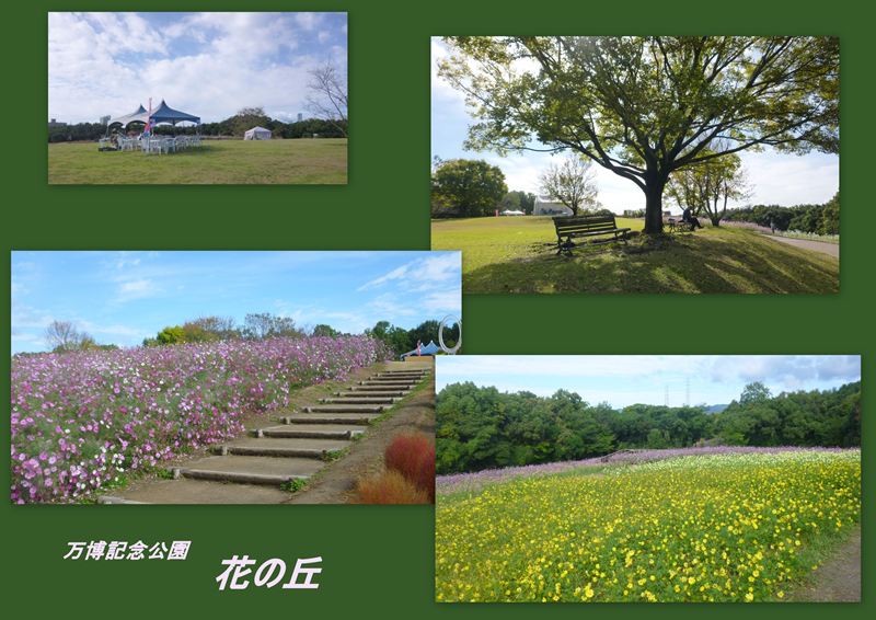 ファイル 1145-2.jpg