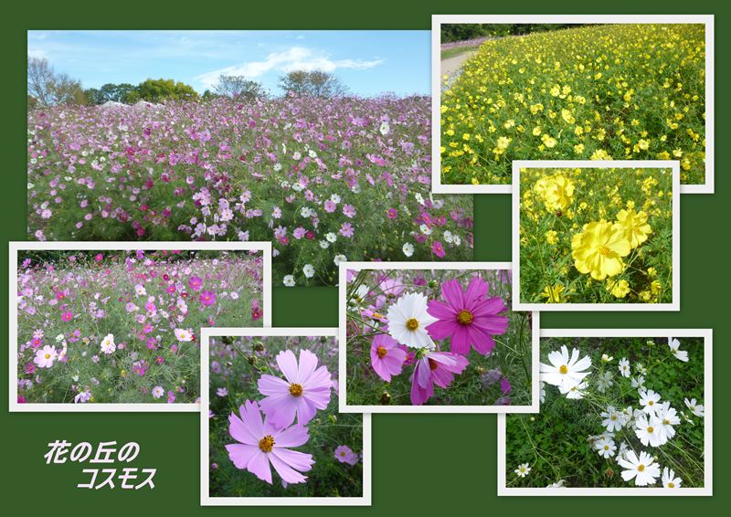 ファイル 1145-3.jpg