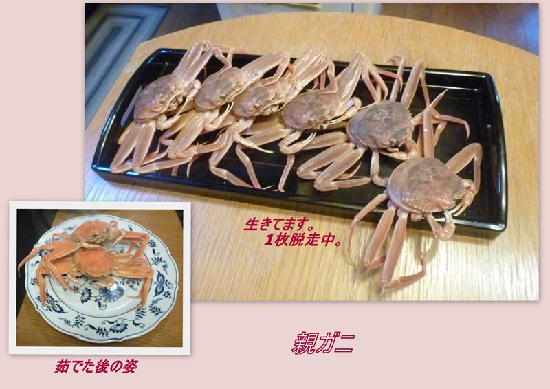 ファイル 1147-1.jpg