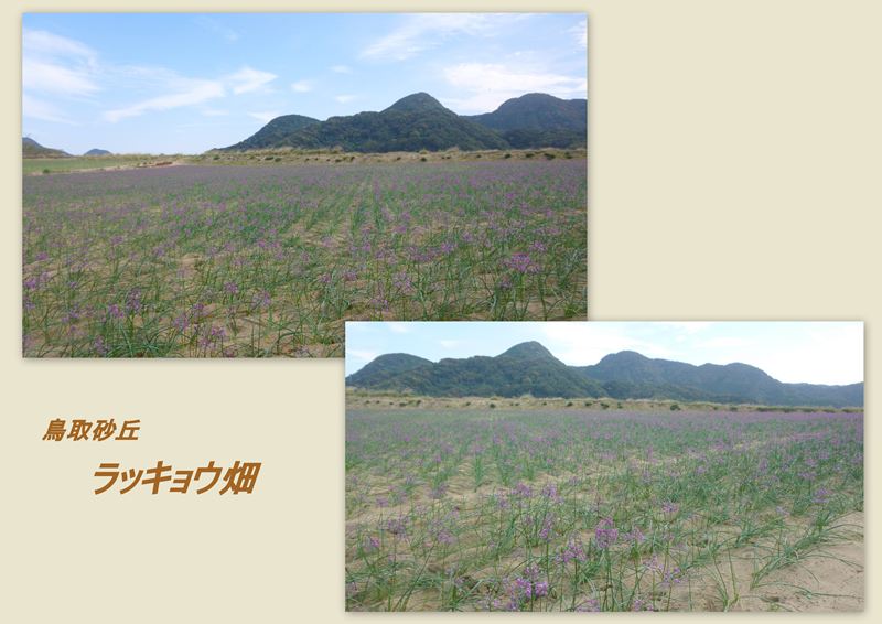 ファイル 1148-1.jpg