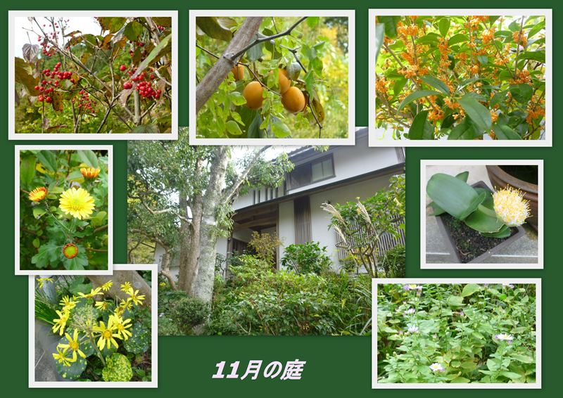 ファイル 1148-4.jpg