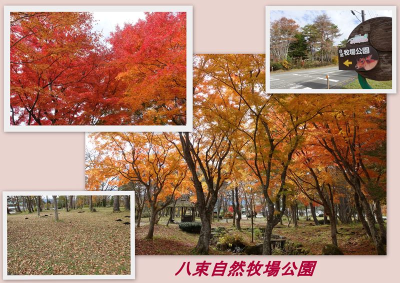 ファイル 1150-1.jpg