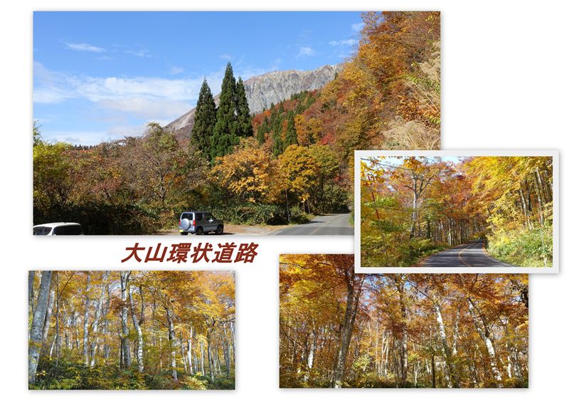 ファイル 1150-5.jpg