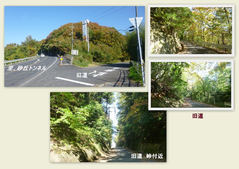 ファイル 1151-1.jpg