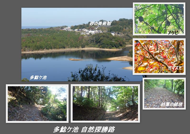 ファイル 1151-2.jpg