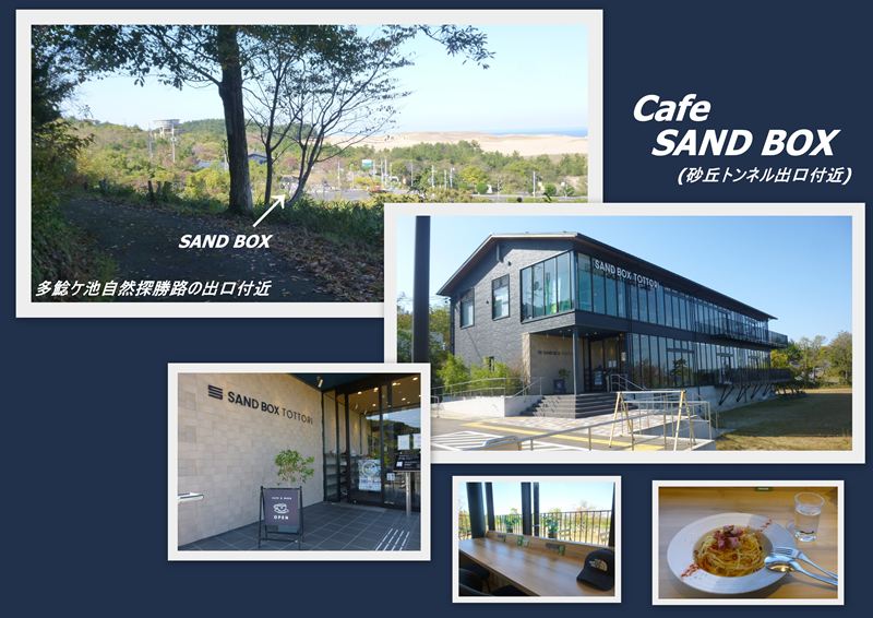 ファイル 1151-3.jpg