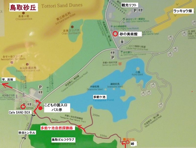 ファイル 1151-5.jpg