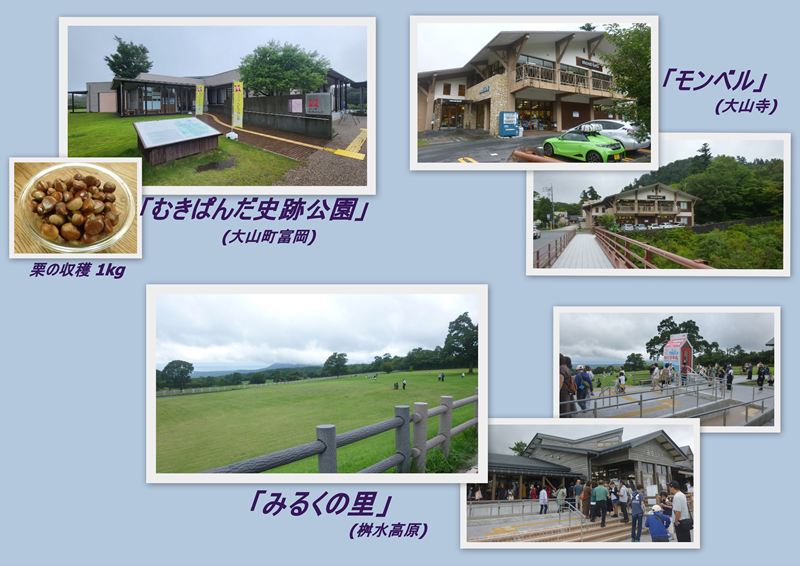 ファイル 1173-1.jpg