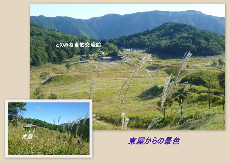 ファイル 1177-3.jpg