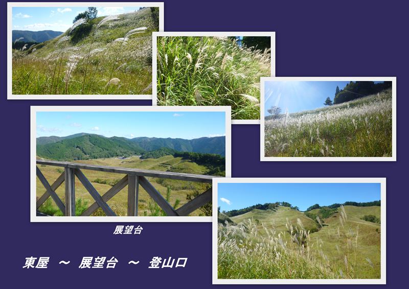 ファイル 1177-4.jpg